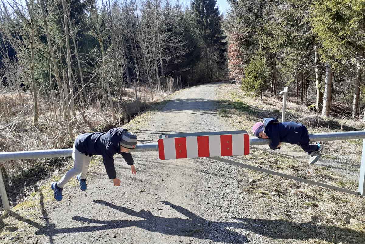 Zur Bergmann Alpe
