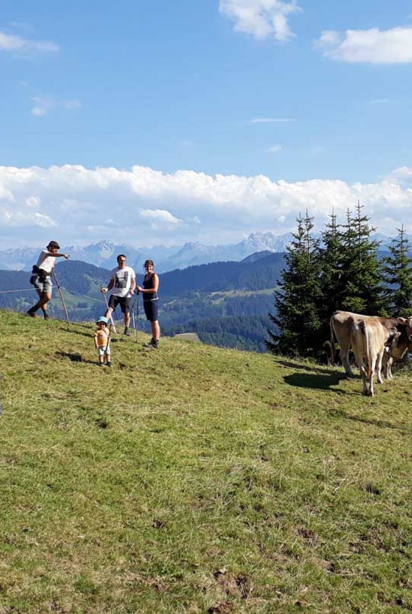 Wandern in den Allgäuer Alpen