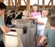 Familienurlaub auf dem Bauernhof, Erlebnishof Eble, in Obergünzburg im Allgäu