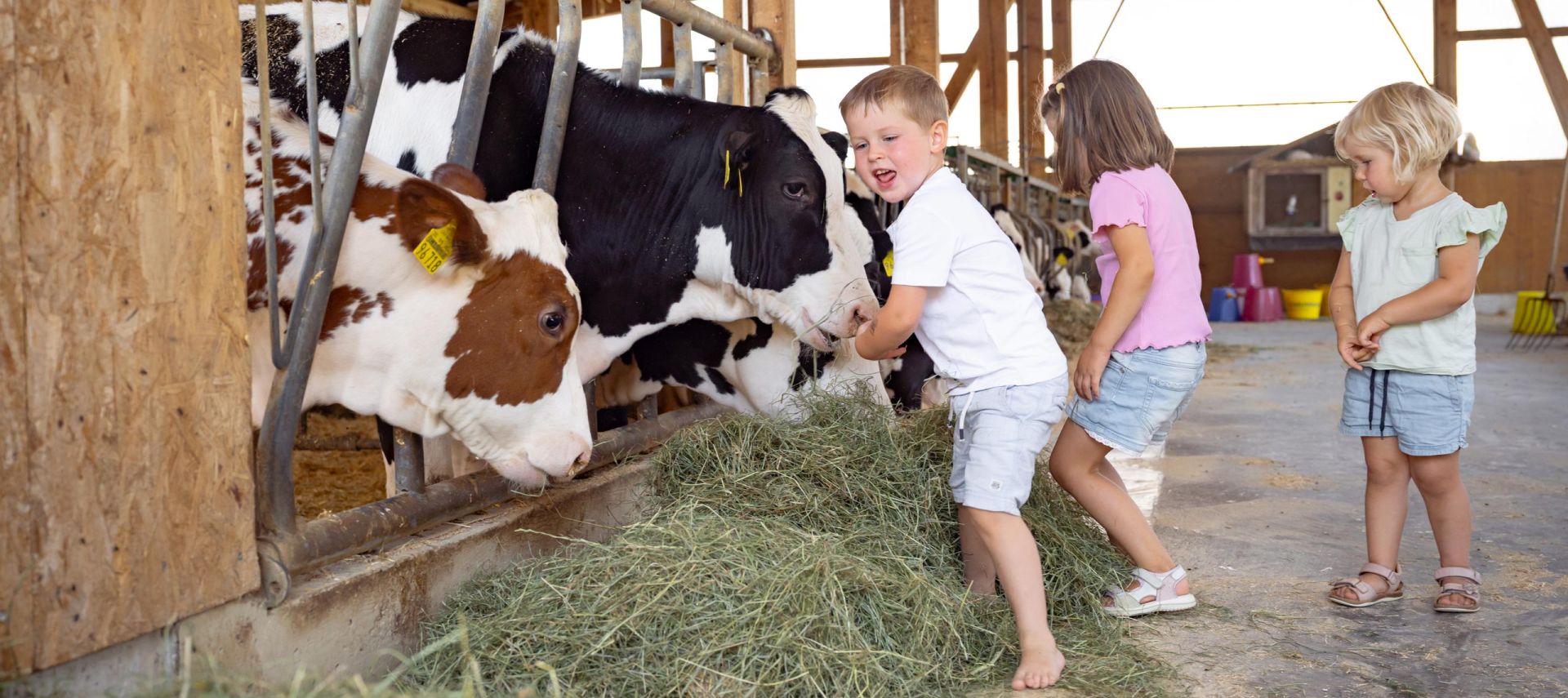 Familienurlaub auf dem Bauernhof, Erlebnishof Eble, in Obergünzburg im Allgäu